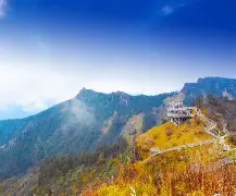  岭北黑豹队对阵瓯越鲸鲨队，电竞半决赛击败，细节决定成败——战术板得到兑现