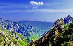  岭北黑豹队对阵瓯越鲸鲨队，电竞半决赛击败，细节决定成败——战术板得到兑现